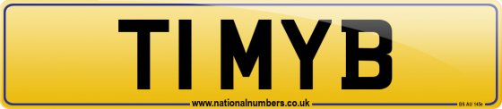 T1 MYB