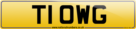 T1 OWG