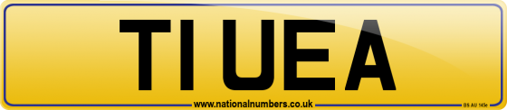 T1 UEA