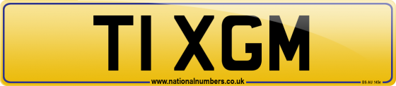 T1 XGM