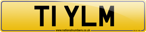 T1 YLM