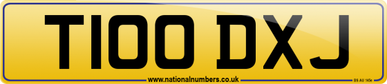 T100 DXJ