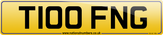 T100 FNG