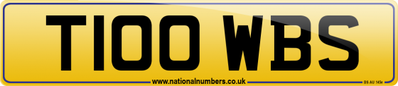 T100 WBS