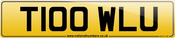 T100 WLU