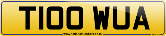 T100 WUA