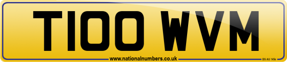 T100 WVM