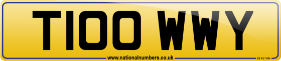 T100 WWY