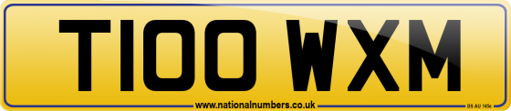 T100 WXM