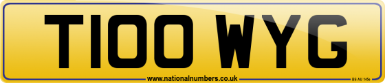 T100 WYG