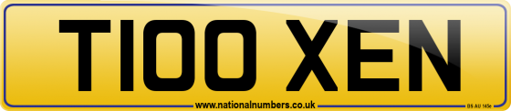 T100 XEN