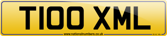 T100 XML