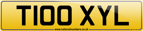 T100 XYL
