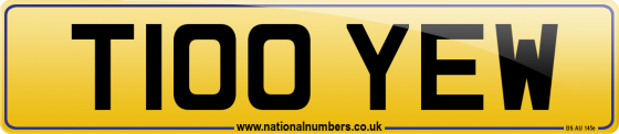 T100 YEW