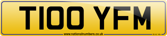 T100 YFM