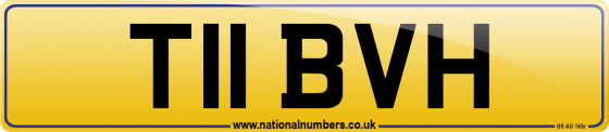 T11 BVH