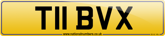T11 BVX