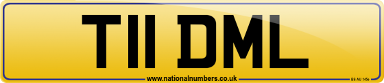 T11 DML