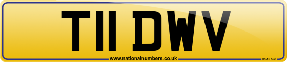 T11 DWV