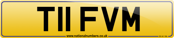 T11 FVM