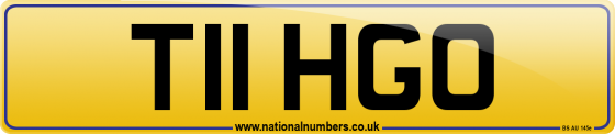 T11 HGO