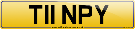T11 NPY