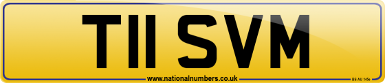 T11 SVM