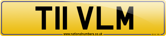 T11 VLM