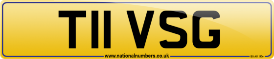 T11 VSG