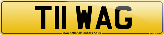 T11 WAG