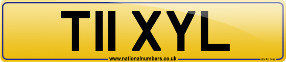 T11 XYL