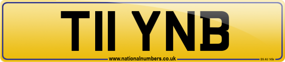 T11 YNB