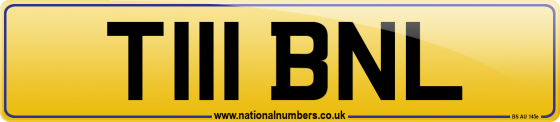 T111 BNL