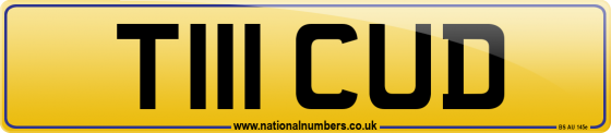 T111 CUD