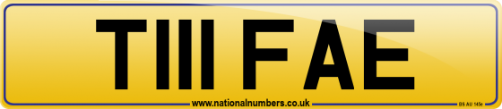 T111 FAE