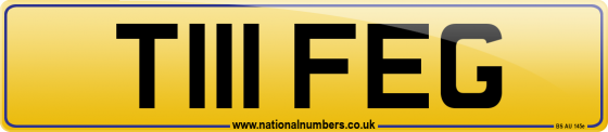 T111 FEG
