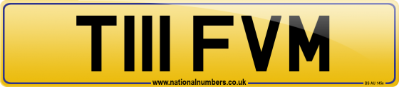 T111 FVM