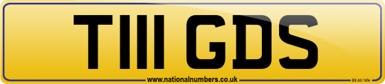 T111 GDS