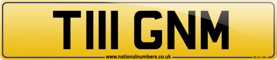 T111 GNM
