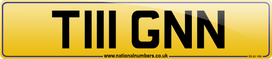T111 GNN