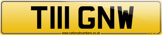 T111 GNW