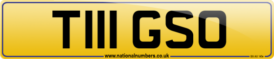 T111 GSO