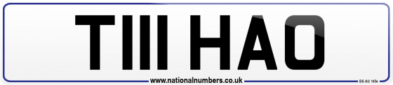 T111 HAO