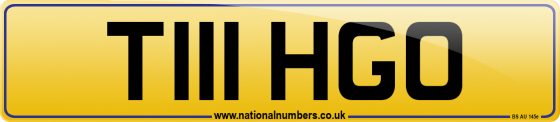 T111 HGO
