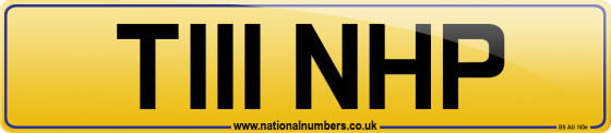 T111 NHP
