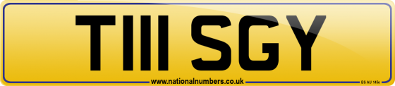 T111 SGY