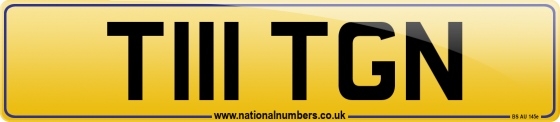 T111 TGN