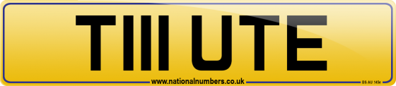 T111 UTE