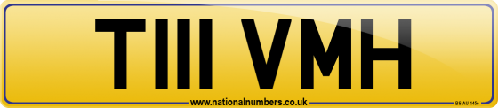 T111 VMH