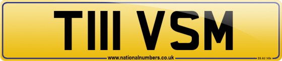 T111 VSM